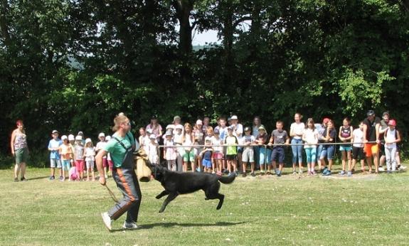 Balko beim Schutzdienst