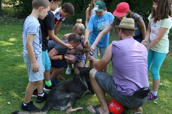 Quinto wartet geduldig auf seine Belohnung